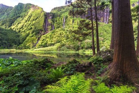 Azores paisaje con cascadas y acantilados en la isla de Flores, Poco da Ribeira do Ferreiro, Azores, Isla de Flores, Portugal, Europa.