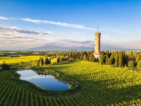 Luftaufnahme des Turms von San Martino della Battaglia, umgeben von Weinbergen und dem Gardasee im Hintergrund, San Martino della Battaglia, Lombardei, Italien. 