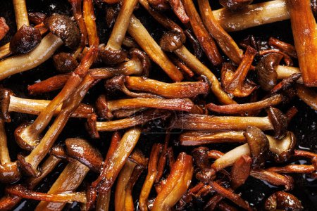 Téléchargez les photos : Champignons shimeji frits, vue rapprochée - en image libre de droit