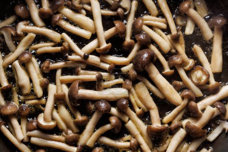 Téléchargez les photos : Friture de champignons shimeji, vue rapprochée - en image libre de droit