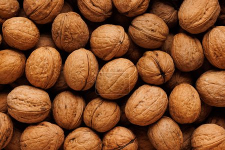 Photo for Walnuts in shell, close-up view. Nut background - Royalty Free Image