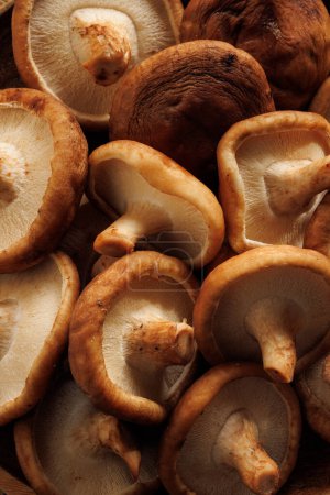 Photo for Fresh shiitake mushrooms, close up view. Healthy and tasty edible mushrooms - Royalty Free Image