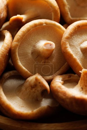 Téléchargez les photos : Une vue rapprochée des champignons shiitake frais. - en image libre de droit