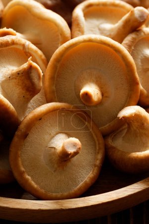 Photo for A close view of fresh shiitake mushrooms. - Royalty Free Image
