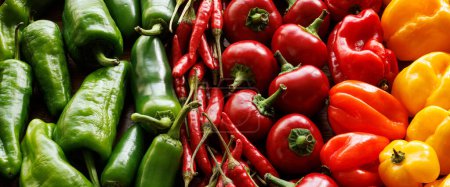 Photo for Fresh colorful different types of peppers, close up view - Royalty Free Image