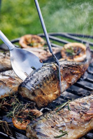 Téléchargez les photos : Griller le poisson maquereau sur un gril en fonte, vue rapprochée, à l'extérieur - en image libre de droit