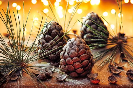 Téléchargez les photos : Cônes de pin chocolat saupoudrés de sucre en poudre, se concentrer sur le cône à l'intérieur. Dessert délicieux de Noël - en image libre de droit