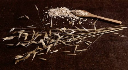 A branch of dried oatmeal next to a spoon with its seeds, seen from above, studio photo isolated on wooden background