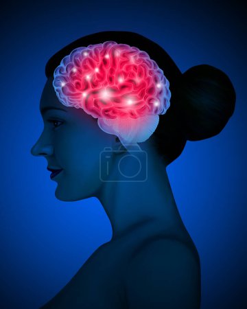 Ilustración de anatomía médica del cerebro humano 