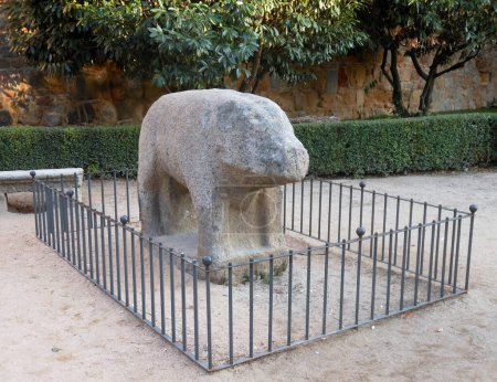 Téléchargez les photos : Avila stone boar next to the Santa Teresa gate near the wall - en image libre de droit