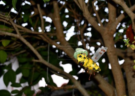 Téléchargez les photos : Ornement en forme d'abeille avec un chapeau vert accroché à un fil dans un jardin - en image libre de droit
