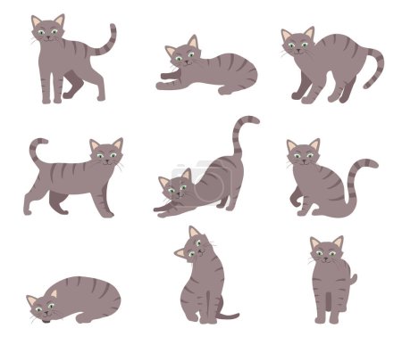 Cartoon cat set with different poses and emotions. Cat behavior and body language. Kitty in simple style, isolated vector illustration.