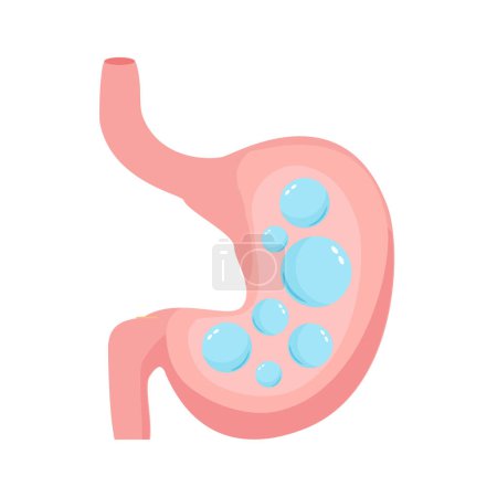 Illustration for Belching gas human stomach. Internal organ, anatomy. Vector cartoon flat icon illustration isolated on white background. - Royalty Free Image