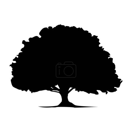 Foto de Silueta de roble aislada sobre fondo blanco. Logo del árbol. Icono del vector - Imagen libre de derechos