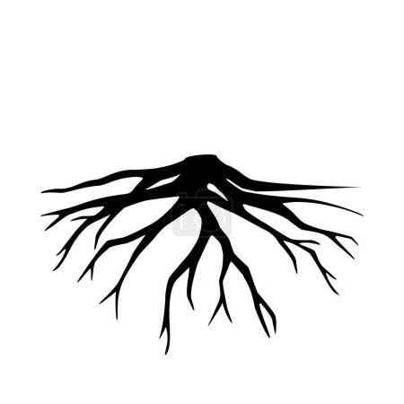 Foto de Silueta negra raíces de árbol aisladas sobre fondo blanco. Ilustración vectorial - Imagen libre de derechos