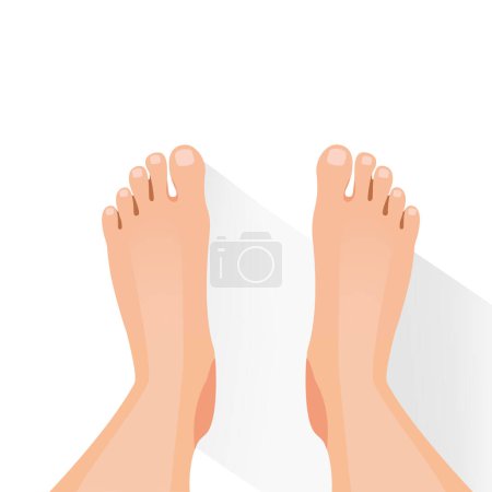 Weibliche nackte Füße stehen auf dem Boden von oben isoliert auf weißem Hintergrund. Vektorillustration
