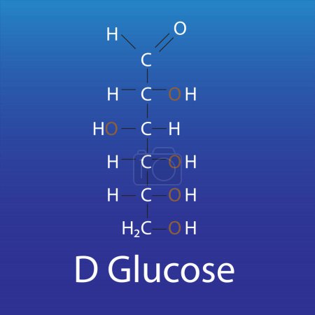 Foto de Structure of D glucose bio molecule - Imagen libre de derechos