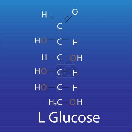 Foto de L glucose linear form sugar - Imagen libre de derechos