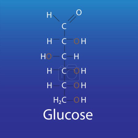 Foto de All Structures of glucose linear forms bio molecule - Imagen libre de derechos