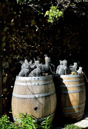 Photo for Old unused and bleached wine barrels used as garden decoration - Royalty Free Image