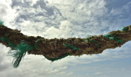 Foto de Una gruesa cuerda de mar vieja contra un cielo nublado - Imagen libre de derechos