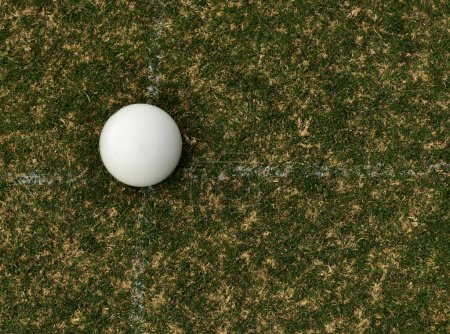 Photo for The white ball in lawn bowling is the target and to bowlers known as a jack - Royalty Free Image