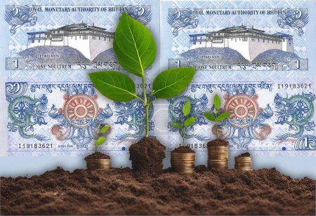 Téléchargez les photos : Money Roots : Artistic Depictions of Business Success Blue sur fond multicolore. Dharmachakra entre deux dragons (Druk) au centre. - en image libre de droit