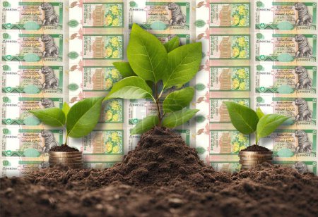 Photo for From Soil to Fortune: Money Tree Illustrations Money Growth concept, business success finance Sri Lanka 10 Rupees Sinhalese Chinthe Presidential Secretariat building in Colombo flower - Royalty Free Image