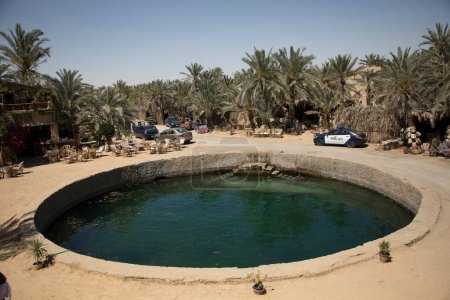 Photo for Beautiful view of Cleopatra Spring in Siwa Oasis, Egypt - Royalty Free Image