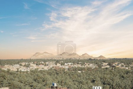 Foto de Hermosa vista de la arboleda de dátiles de Gebel al-Mawta en Oasis de Siwa, Egipto - Imagen libre de derechos