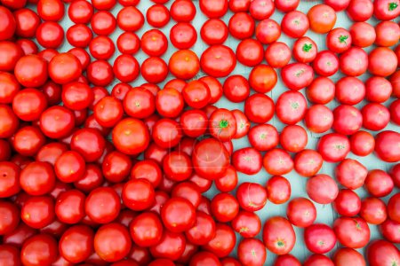 Foto de Foto de tomates muy frescos - Imagen libre de derechos