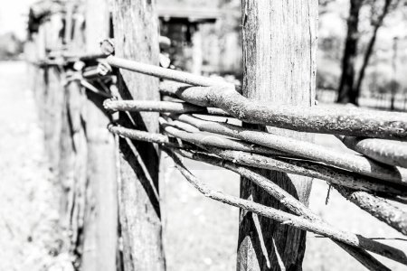 Photo for Black and white photo of wooden fence - Royalty Free Image