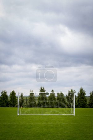 Photo for Soccer Goal on green field - Royalty Free Image