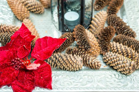 Foto de Arreglo de Navidad de flor roja, candelabro vintage y conos de pino - Imagen libre de derechos