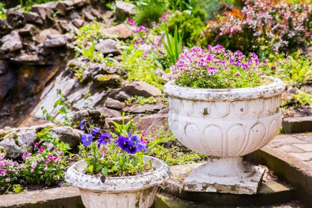 Téléchargez les photos : Rétro Pot de fleurs isolé avec des fleurs dans le parc - en image libre de droit
