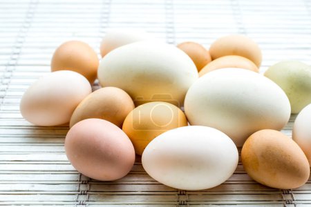 Photo for A Goose eggs, Duck eggs, Hen eggs and eggs Guinea Fowls - Royalty Free Image