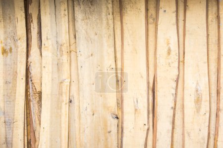 Foto de Textura marrón de madera vieja con nudo - Imagen libre de derechos