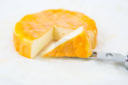 Téléchargez les photos : Fromage jaune tendre avec moisissure - en image libre de droit