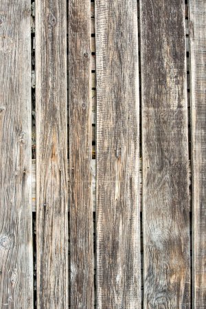 Photo for Brown old wood texture with knot - Royalty Free Image