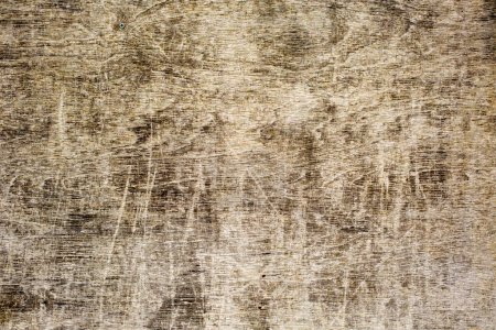 Foto de Textura del uso de madera de corteza como fondo natural - Imagen libre de derechos