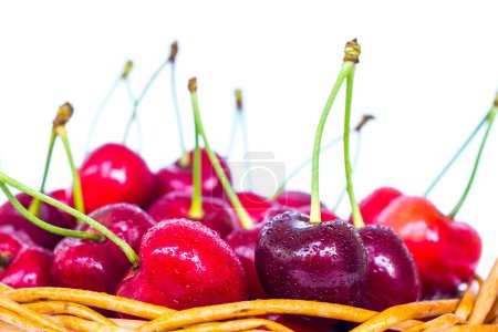 Photo for Cherries in a wicker basket isolated on white background - Royalty Free Image