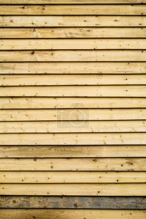Foto de Textura de pared de madera, fondo de madera - Imagen libre de derechos