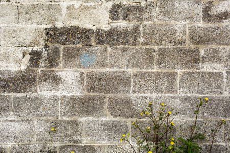 Téléchargez les photos : Mur de brique texture fond - en image libre de droit