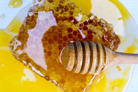 Téléchargez les photos : Nid d'abeille. Image de haute qualité contient des chemins de coupe
. - en image libre de droit