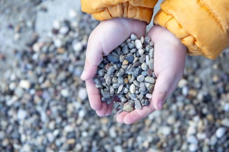 Photo for Hand holding small stones - Royalty Free Image