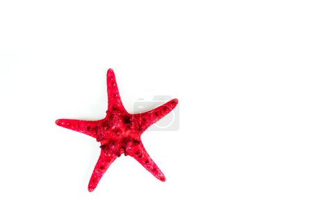 Photo for Red sea star isolated on white background - Royalty Free Image
