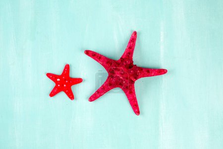Téléchargez les photos : Gros plan étoiles de mer rouges sur fond bleu - en image libre de droit
