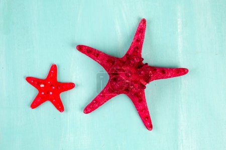 Téléchargez les photos : Gros plan étoiles de mer rouges sur fond bleu - en image libre de droit
