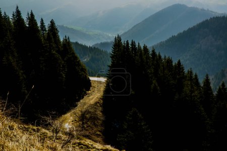 Photo for Beautiful mountain landscape in sunny day - Royalty Free Image
