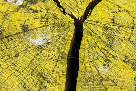 Foto de Fondo de pintura amarilla, pelada en una vieja pared de madera - Imagen libre de derechos